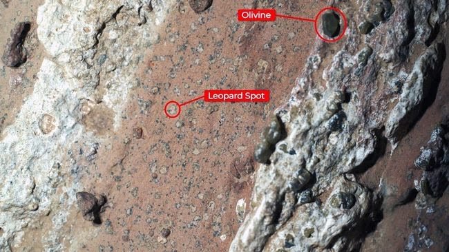 NASA Temukan Indikasi Baru soal Kehidupan di Mars