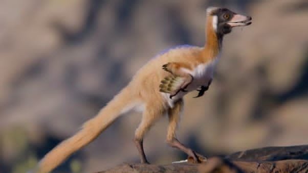 Temuan Fosil Alnashetri Paksa Ilmuwan Tinjau Ulang Teori Evolusi Dinosaurus